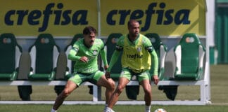 Uma rápida revisão da história recente do Palmeiras na Libertadores da América e na Copa do Brasil