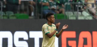 Palmeiras fica a 3 pontos do Botafogo na briga pelo tri do Brasileirão: restam 12 jogos