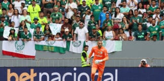 Torcidas de Palmeiras e Vasco são elogiadas pelo MP de Brasília em partida no Mané Garrincha