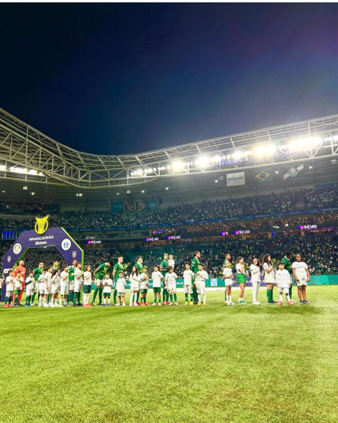 Palmeiras Gremio Palmeiras