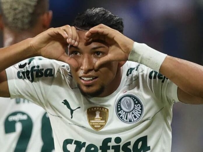 Rony Palmeiras