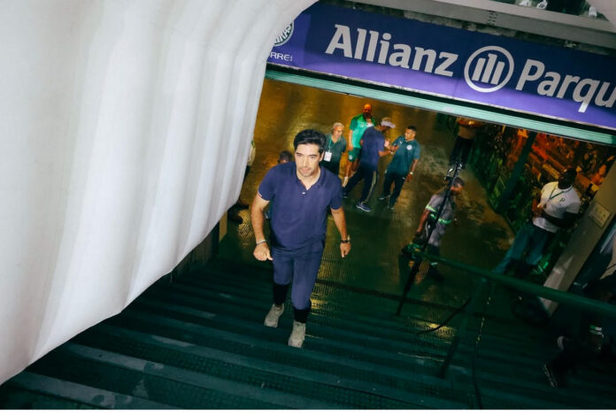 Abel Palmeiras 1