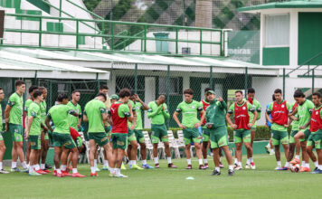 Palmeiras vive boa fase nas três competições que disputa antes do Mundial de Clubes: Vídeo