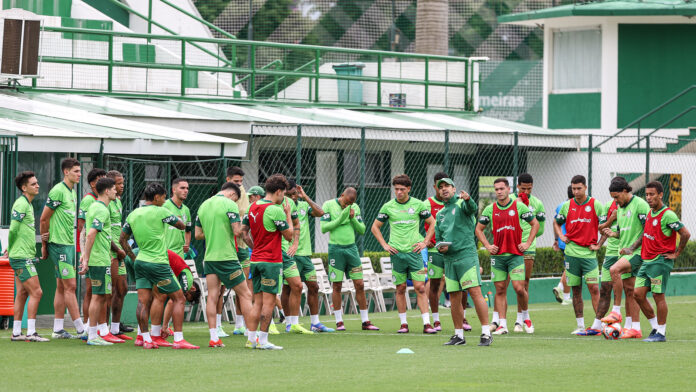 Abel e o time Palmeiras 1