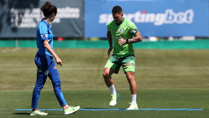 Paulinho 1 Palmeiras