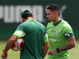 Paulinho já custou mais de R$ 7,5 milhões por jogo ao Palmeiras: Leila pagou R$ 152 milhões pelo atacante