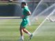 Palmeiras precisa de alguns ‘bad boys’ para não ser intimidado