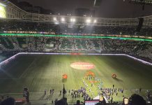 ‘Não tem conversa. É porrada do começo ao fim’, disse Felipe Melo
