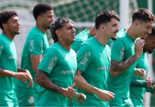 Palmeiras, Flamengo e São Paulo: cada um com a sua Libertadores