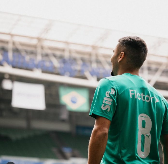 Andreas Palmeiras 8