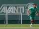 Palmeiras vai ‘encarar’ 80 mil argentinos do River no Monumental