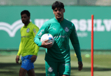 STJD pode tirar Gómez e Piquerez do Palmeiras por seis rodadas