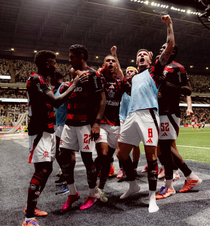 Flamengo Galo Fla