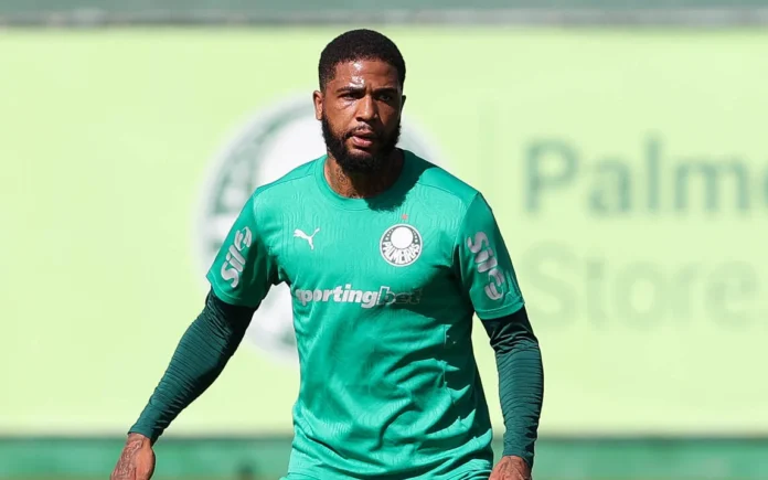 Micael Palmeiras