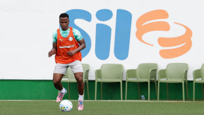 John Arias Palmeiras