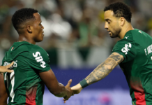 Palmeiras amadurece, se vale de bons jogadores e é o melhor time do Brasil, melhor até do que o Fla