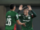Palmeiras retoma confiança antes do dérbi com o Corinthians: 5 a 1 em cima do Vitória