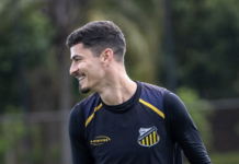 Final do Paulistão 2026: elenco do Palmeiras vale 18 vezes mais que o do Novorizontino