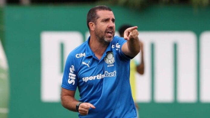 Joao Martins Palmeiras