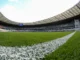 Argentino Eduardo Domínguez, recém-chegado ao Brasil, desafia Tite na final do Estadual