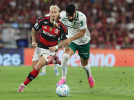 Desfalque para todo lado: debandada da Copa castiga Palmeiras e Fla no Brasileirão