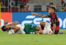 VAR de Flamengo e Palmeiras divulgado: ‘Essa bola se joga com a cabeça, não com o pé’