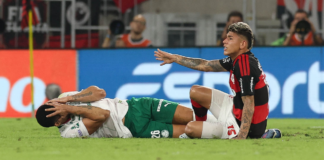 VAR de Flamengo e Palmeiras divulgado: ‘Essa bola se joga com a cabeça, não com o pé’