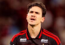 Flamengo confirma vaga na Libertadores e aumenta pressão no Palmeiras Flamengo O atacante Pedro aponta para o escudo do Flamengo na comemoração do seu gol na vitória sobre o Estudiantes