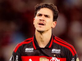 Com Pedro, Flamengo ganha, confirma vaga na Libertadores e aumenta pressão no Palmeiras Flamengo O atacante Pedro aponta para o escudo do Flamengo na comemoração do seu gol na vitória sobre o Estudiantes