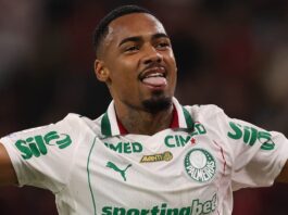 Palmeiras fecha a janela para a Europa e blinda atacante Allan com multa de R$ 630 milhões Allan O garoto Allan celebra o seu gol na vitória sobre o Flamengo em mais atuação decisiva em jogo grande do Palmeiras