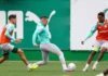 Palmeiras tem a volta de Paulinho em Barueri e casa cheia para manter a liderança do Brasileirão