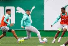 Palmeiras tem a volta de Paulinho e casa cheia para manter a liderança do Brasileirão