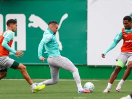 Palmeiras tem a volta de Paulinho e casa cheia para manter a liderança do Brasileirão