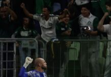Brasileirão Com a euforia de torcedores ao fundo, o goleiro Marcelo Lomba celebra a vitória do Palmeiras sobre a Chapecoense