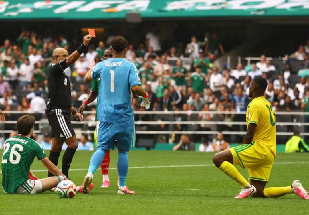 Wilton Pereira Sampaio No primeiro cartão vermelho da Copa do Mundo, Wilton Pereira Sampaio expulsa o sul-africano Yaya Sithole