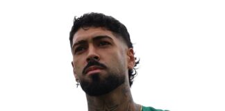 Palmeiras e Flameno Alexander Barboza