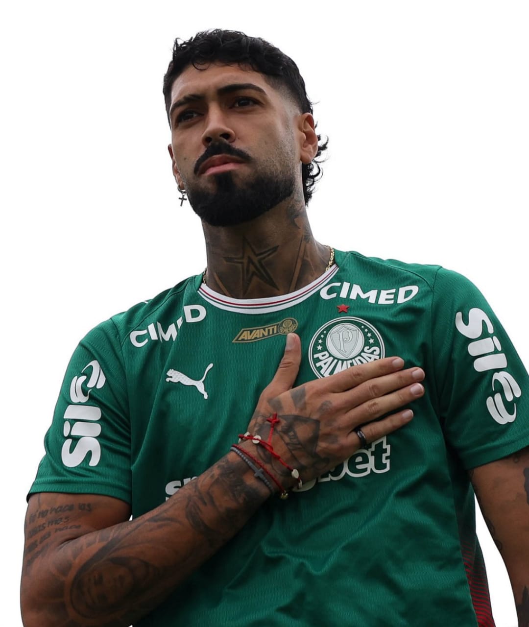 Palmeiras e Flameno Alexander Barboza