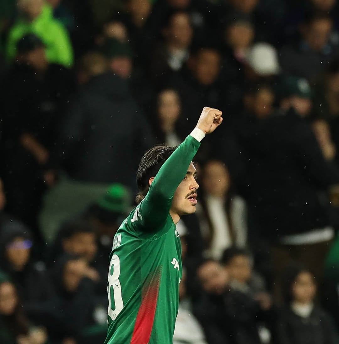 Palmeiras Maurício