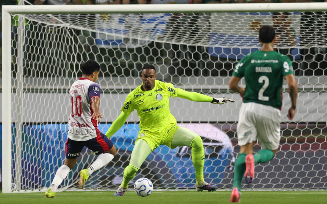 Palmeiras Carlos Miguel