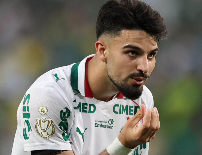 Palmeiras Flaco Lopez