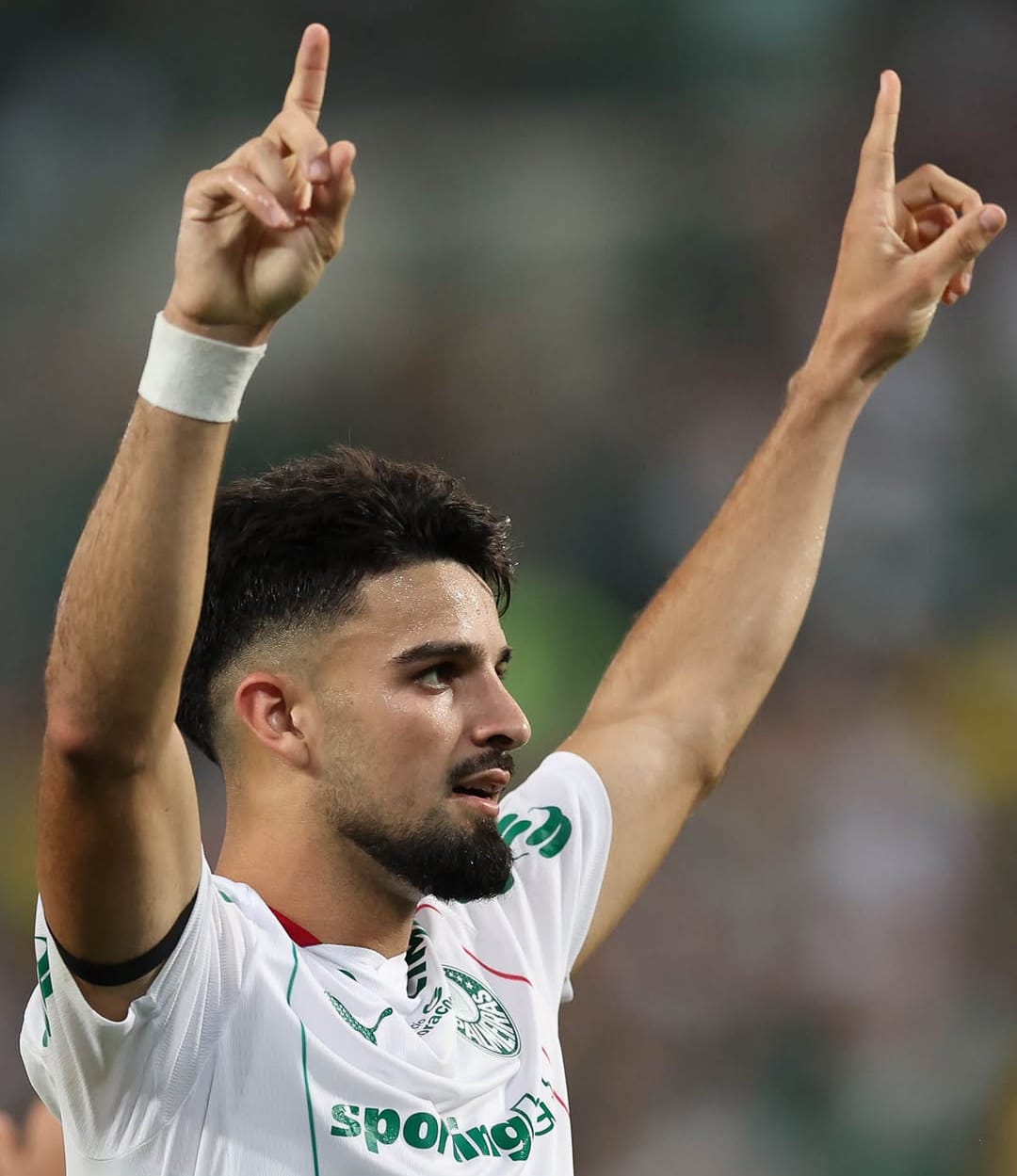 Palmeiras Flaco López comemora o seu gol