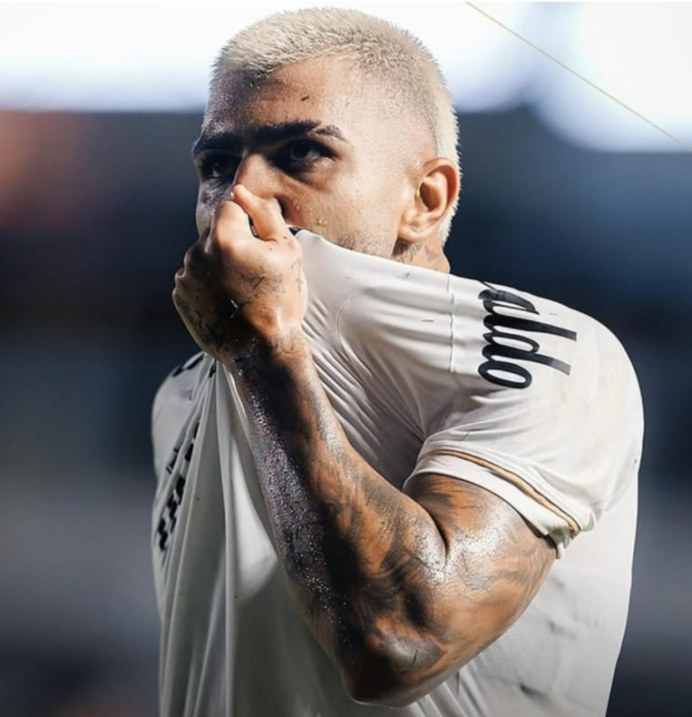 Gabigol Santos