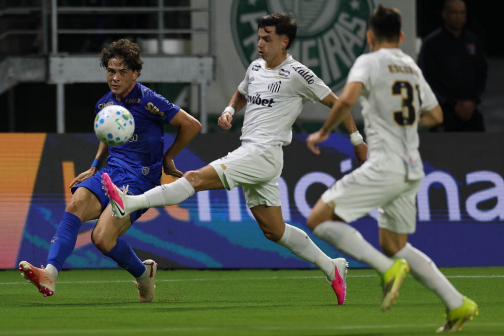 Palmeiras Giay