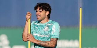 Brasileirão Maurício Palmeiras