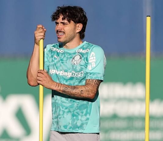 Brasileirão volta com clubes divididos entre a luta pelo título e a sobrevivência em meio ao calendário apertado Brasileirão Maurício Palmeiras