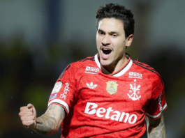 Flamengo massacra o Mirassol, acaba com a gordura do Palmeiras e deixa o Brasileirão em corrida palmo a palmo Flamengo Pedro artilheiro