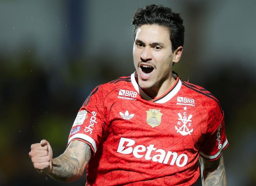 Flamengo Pedro artilheiro