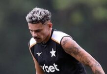 Botafogo oficializa retorno de Tiquinho Soares com cláusula de produtividade