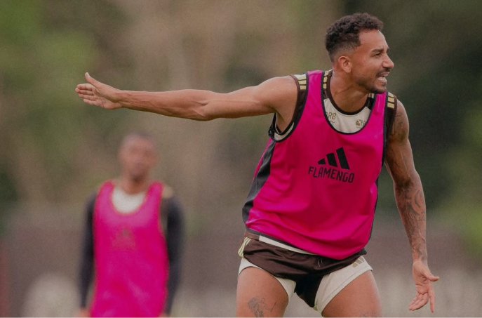 Brasileirão Danilo Flamengo