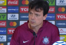 Fernando Diniz